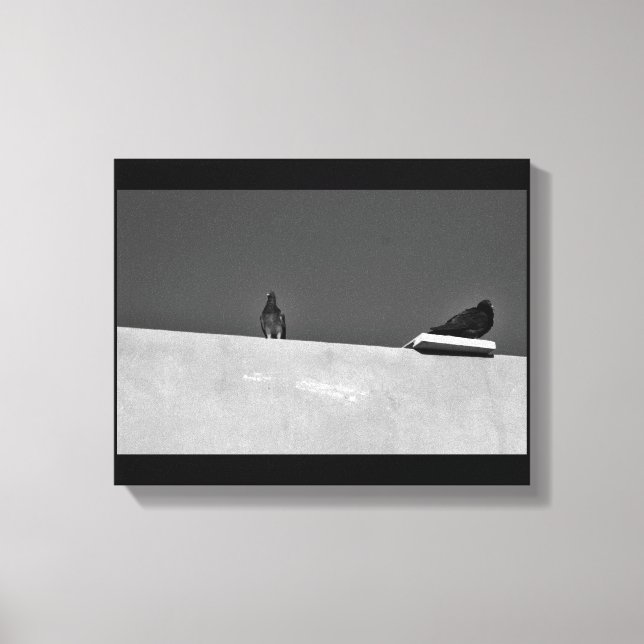 Pigeon Pair Canvas Print (Front)