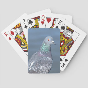 Pigeon Partner Playing Cards