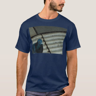 Pigeon photography 2 T-Shirt