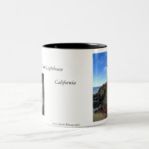 Pigeon Point mug