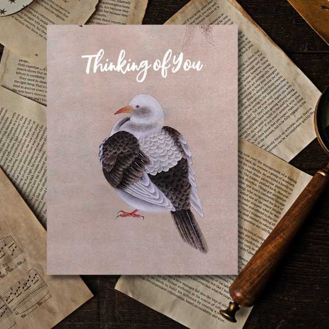 Pigeon Postcard (Creator Uploaded)