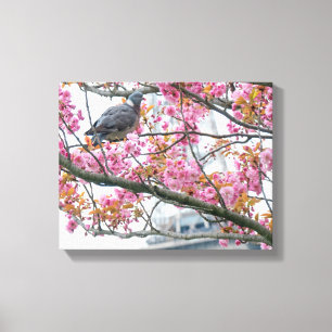 Pigeon Resting On A Tree Branch  Canvas Print