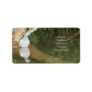 Pigeon Snail Mail Label