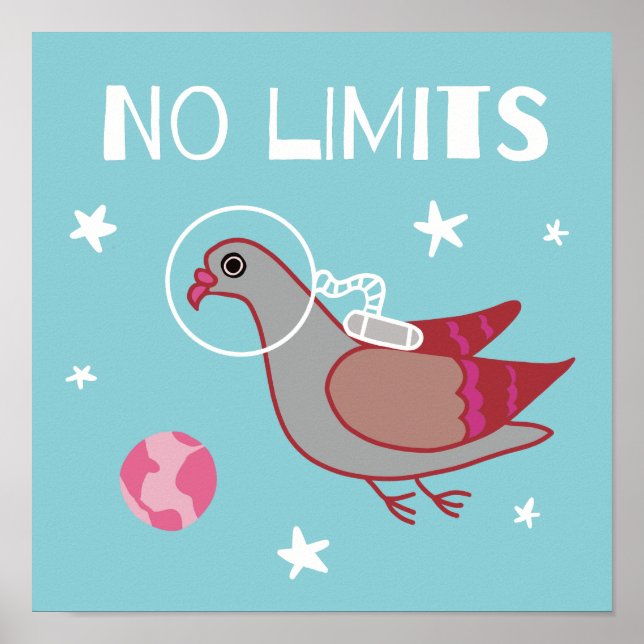 Pigeon space explorer poster (Front)