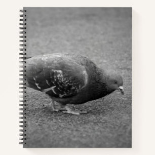 Pigeon Spiral Notebook