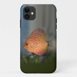 Pigeon Stone Discus iPhone 5 Case-Mate Case