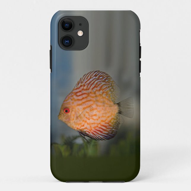 Pigeon Stone Discus iPhone 5 Case-Mate Case (Back)