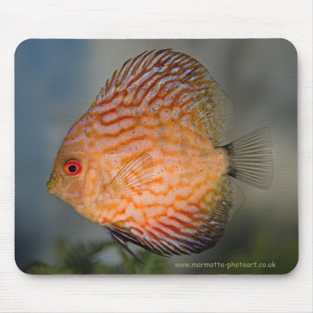 Pigeon Stone Discus Mousemat (Front)