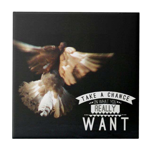 Pigeon Take A Chance Tile (Front)