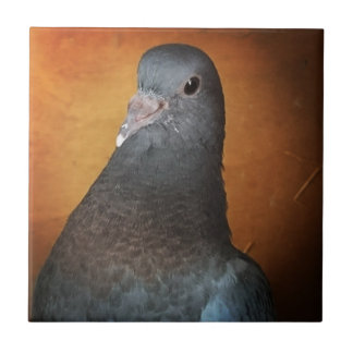 Pigeon Tile