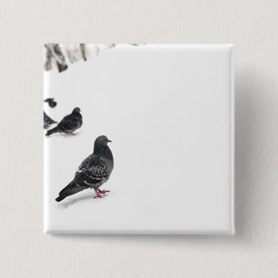 Pigeons 15 Cm Square Badge
