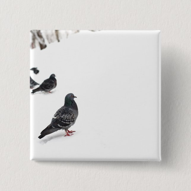 Pigeons 15 Cm Square Badge (Front)