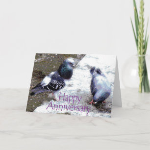 Pigeons Anniversary Card