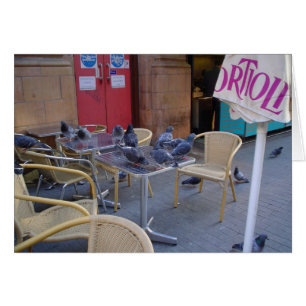 Pigeons at Lunch