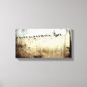 Pigeons Canvas Print