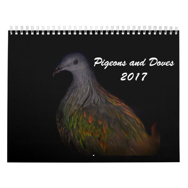 Pigeons & Doves 2017 Calendar (Cover)