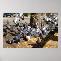 Pigeons Gathering Around Tree with Heart