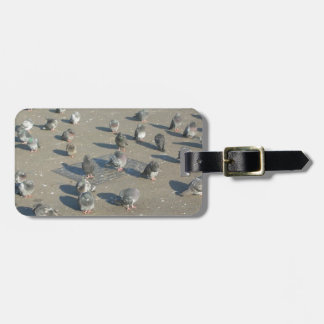 Pigeons Luggage Tag