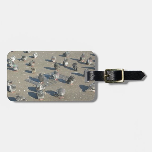 Pigeons Luggage Tag (Front Horizontal)
