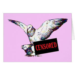 Pigeons Mating: Censored!