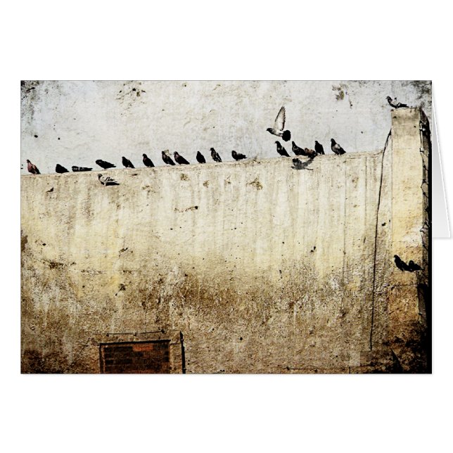 Pigeons on a Roof (Front Horizontal)