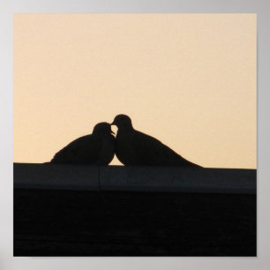 Pigeons Poster