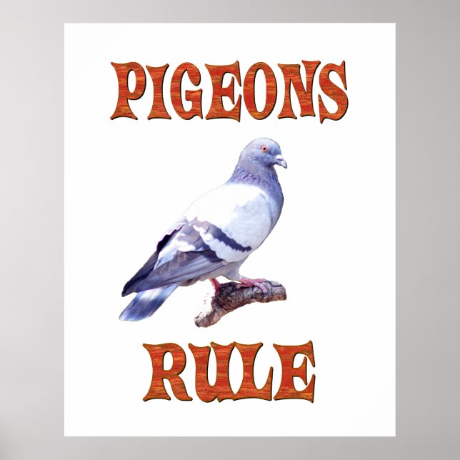Pigeons Rule Poster (Front)