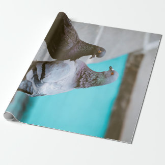 Pigeons Wrapping Paper