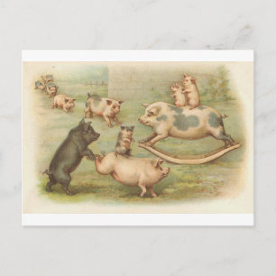 Piggies in play Vintage Postcard