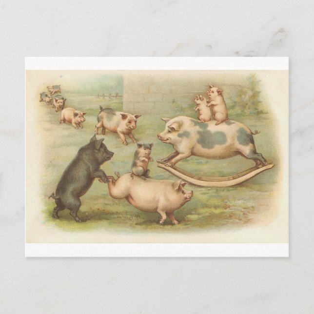 Piggies in play Vintage Postcard (Front)