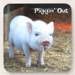 Piggin' Out Farm Life Hard Plastic Coaster