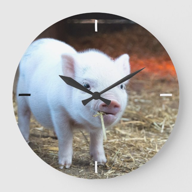 Piggin' Out Farm Life Wall Clock (Front)