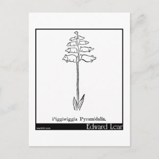 Piggiwiggia Pyramidalis. Postcard