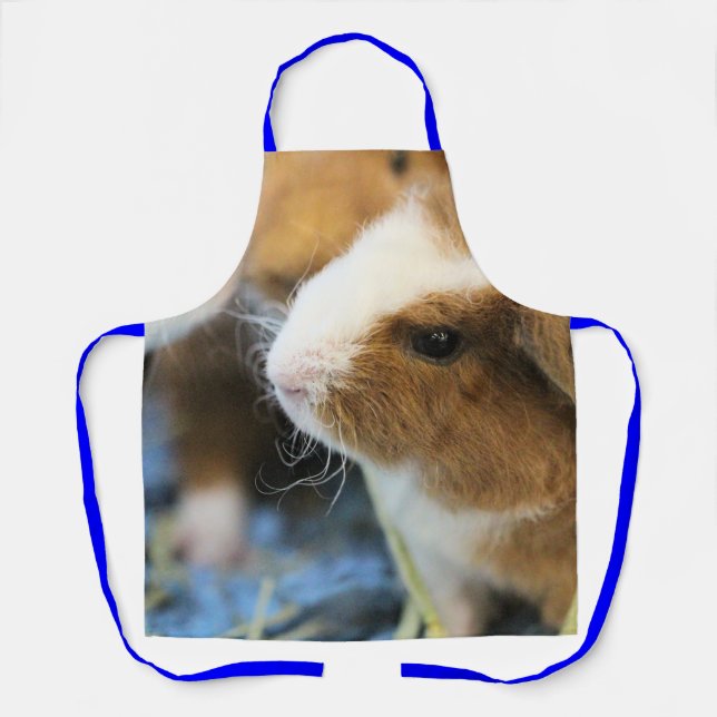 Piggy Apron (Front)