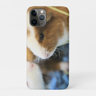 Piggy Case-Mate iPhone Case