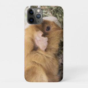 Piggy Case-Mate iPhone case