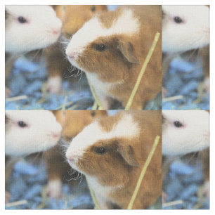 Piggy Fabric