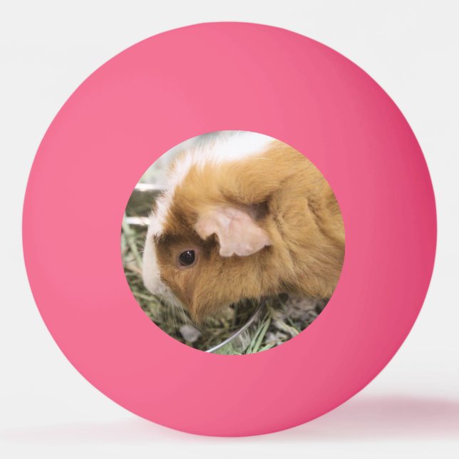 Piggy Golf Hat Clip Ping Pong Ball (Front)