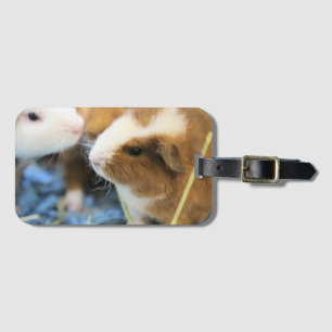 Piggy Luggage Tag
