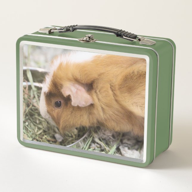 Piggy  metal lunch box (Front)