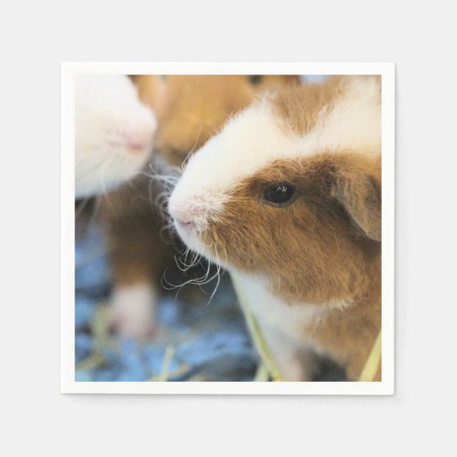 Piggy Napkin (Front)