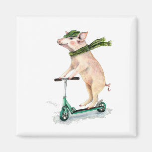 Piggy on a scooter magnet