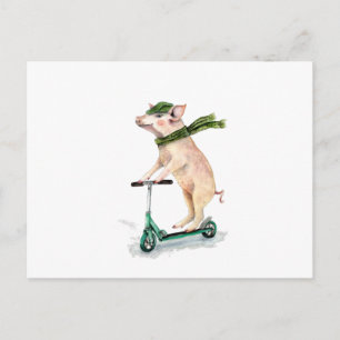 Piggy on a scooter postcard