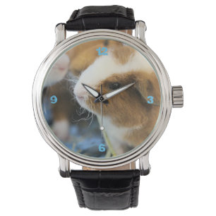 Piggy Watch