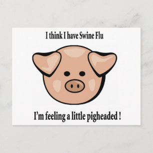 pigheaded postcard