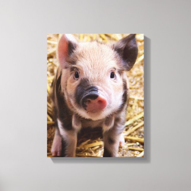Piglet Canvas Print (Front)