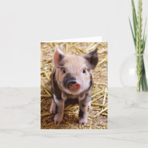 Piglet Card