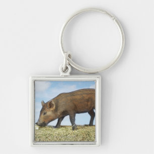 Piglet Eating Key Ring