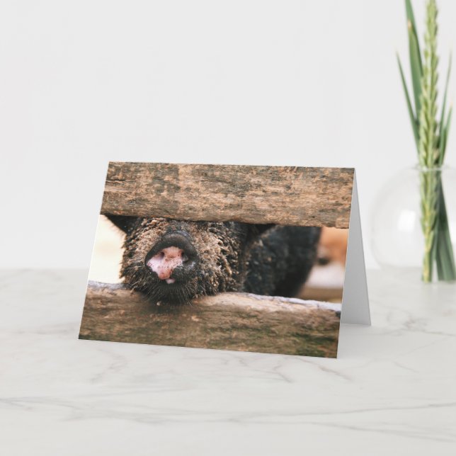 Piglet Nose Greeting Card - Blank Inside (Front)