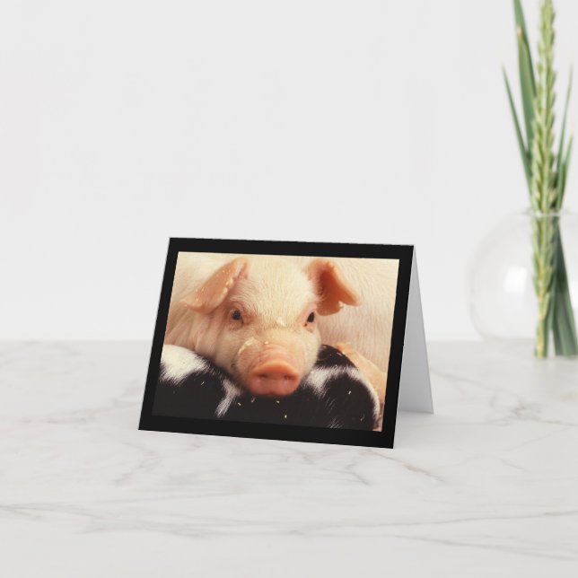 Piglet Pig Adorable Face Snout Card (Front)